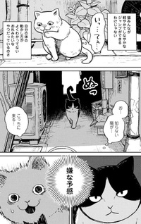 Tsureneko: Maruru to Hachi
