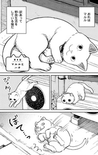 Tsureneko: Maruru to Hachi