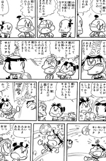 Tsuruhime Ja