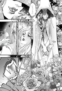 Vampire Hunter D: The Rose Princess