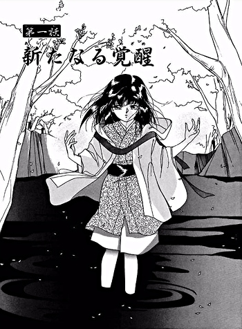 vampire hunter d the rose princess vampire hunter d the rose princess