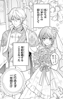 Wakeari Hakushaku-sama to Keiyaku Kekkon Shitara, Gijou (Roku-sai) no Keiyaku Haha ni Natte Shimaimashita.