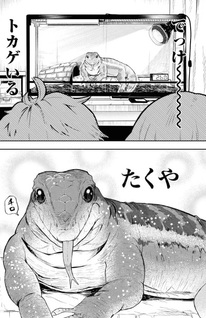 Wanko to Hachuko