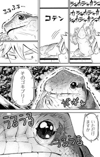 Wanko to Hachuko