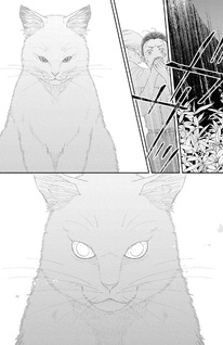 Watashi no Machi no Futamata-sama