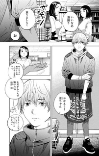 Yae no Shu Meguri: Nihon Furusato Hyakkei