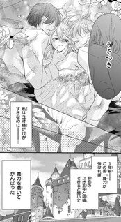 Yotogi no Futago - Niehime wa Futari no Ouji ni Aisareru -
