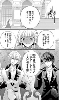 Yotogi no Futago - Niehime wa Futari no Ouji ni Aisareru -