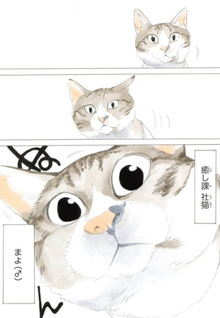 Yōkoso! Shimaya Shuppan Iyashika e