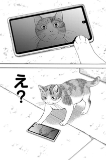Yuzuki wa Neko ni Naru