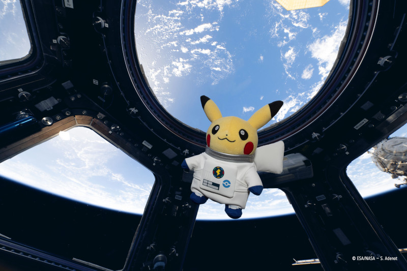 Pikachu.jpg Pikachu.jpg