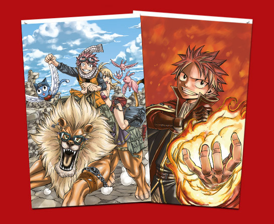 hachette fairy tail