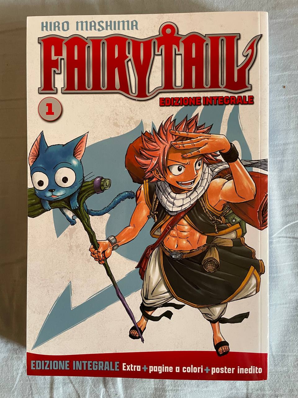 hachette fairy tail