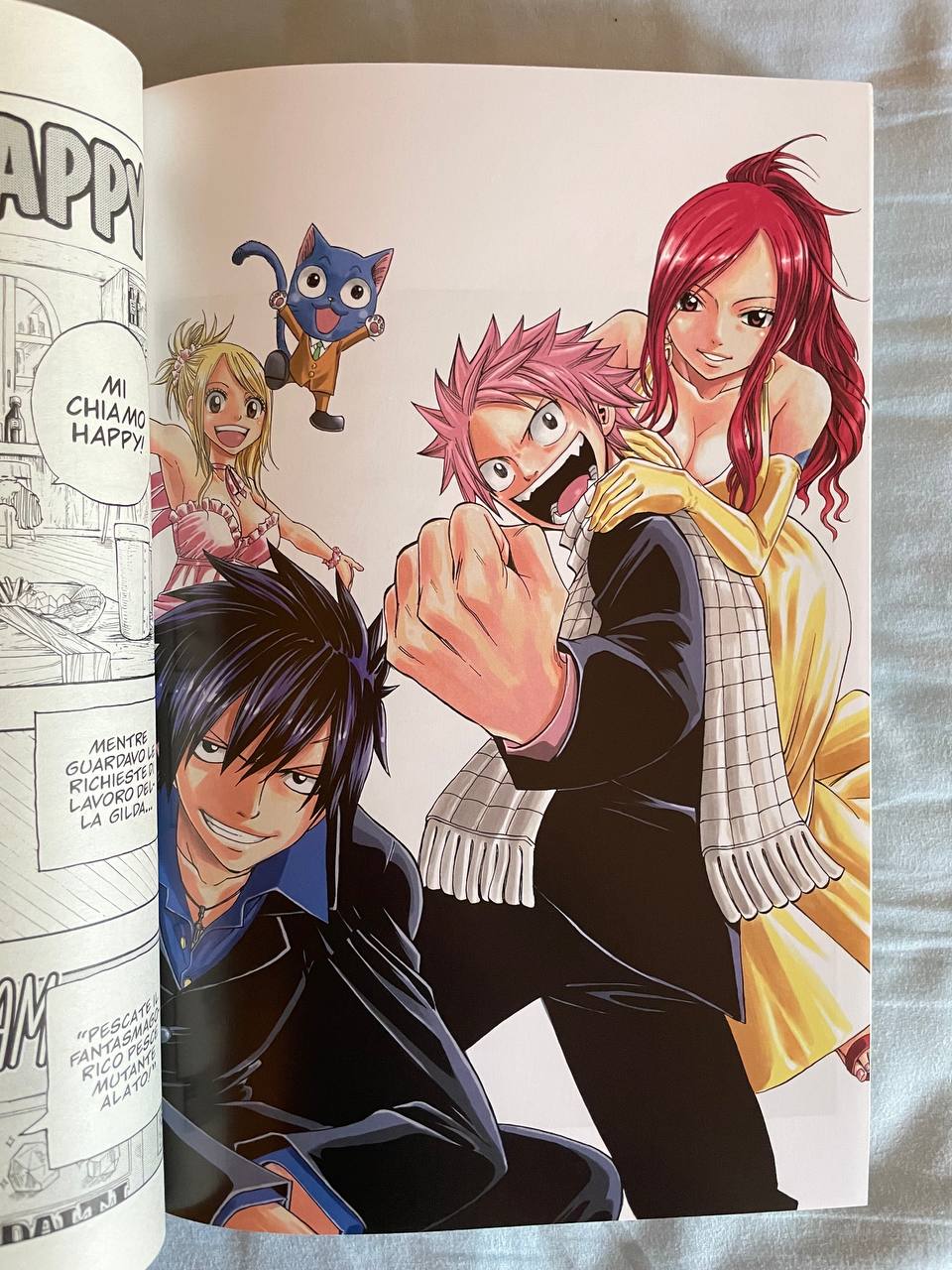 hachette fairy tail
