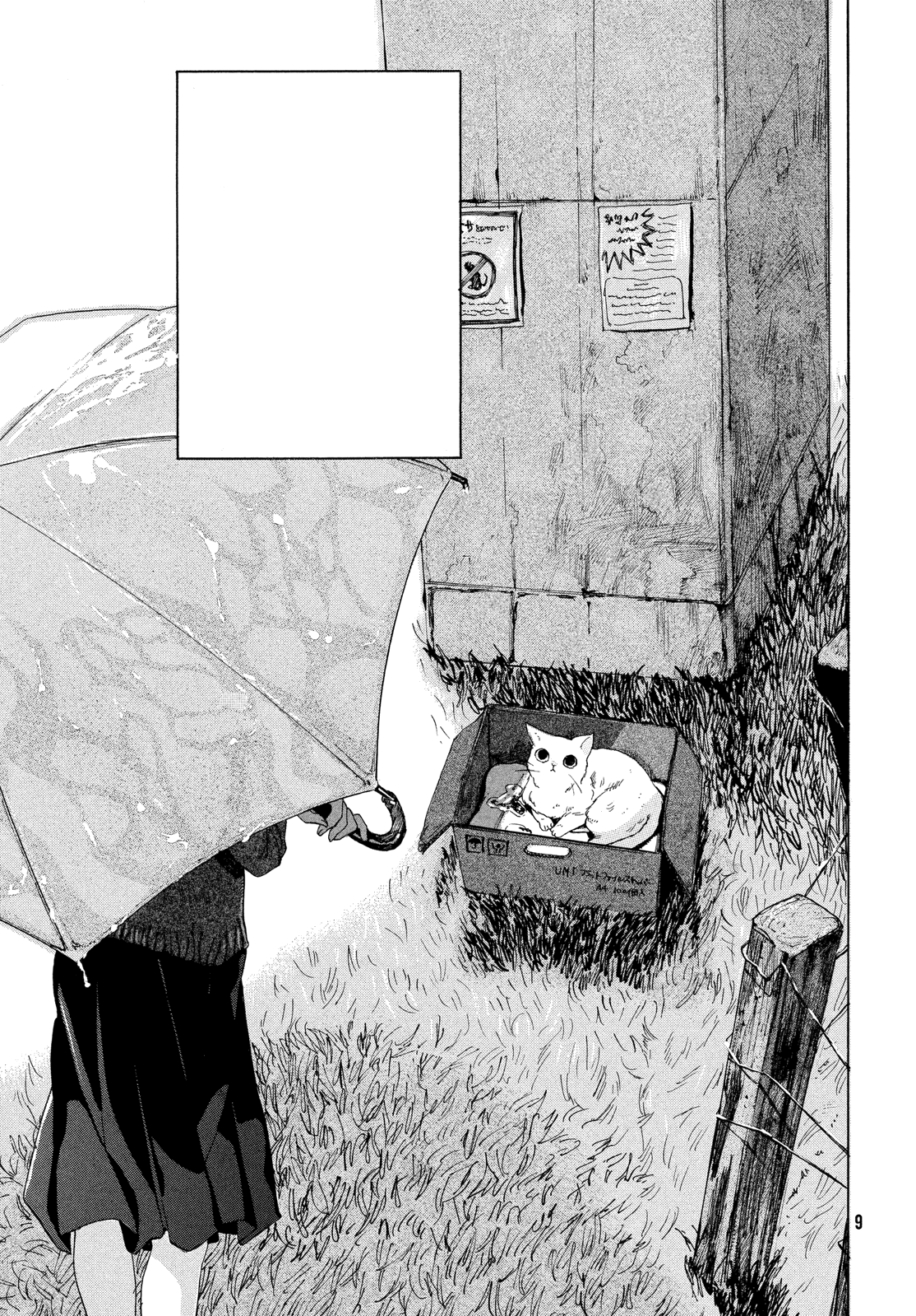 Lei e il suo gatto recensione del manga tratto dal primo lavoro di