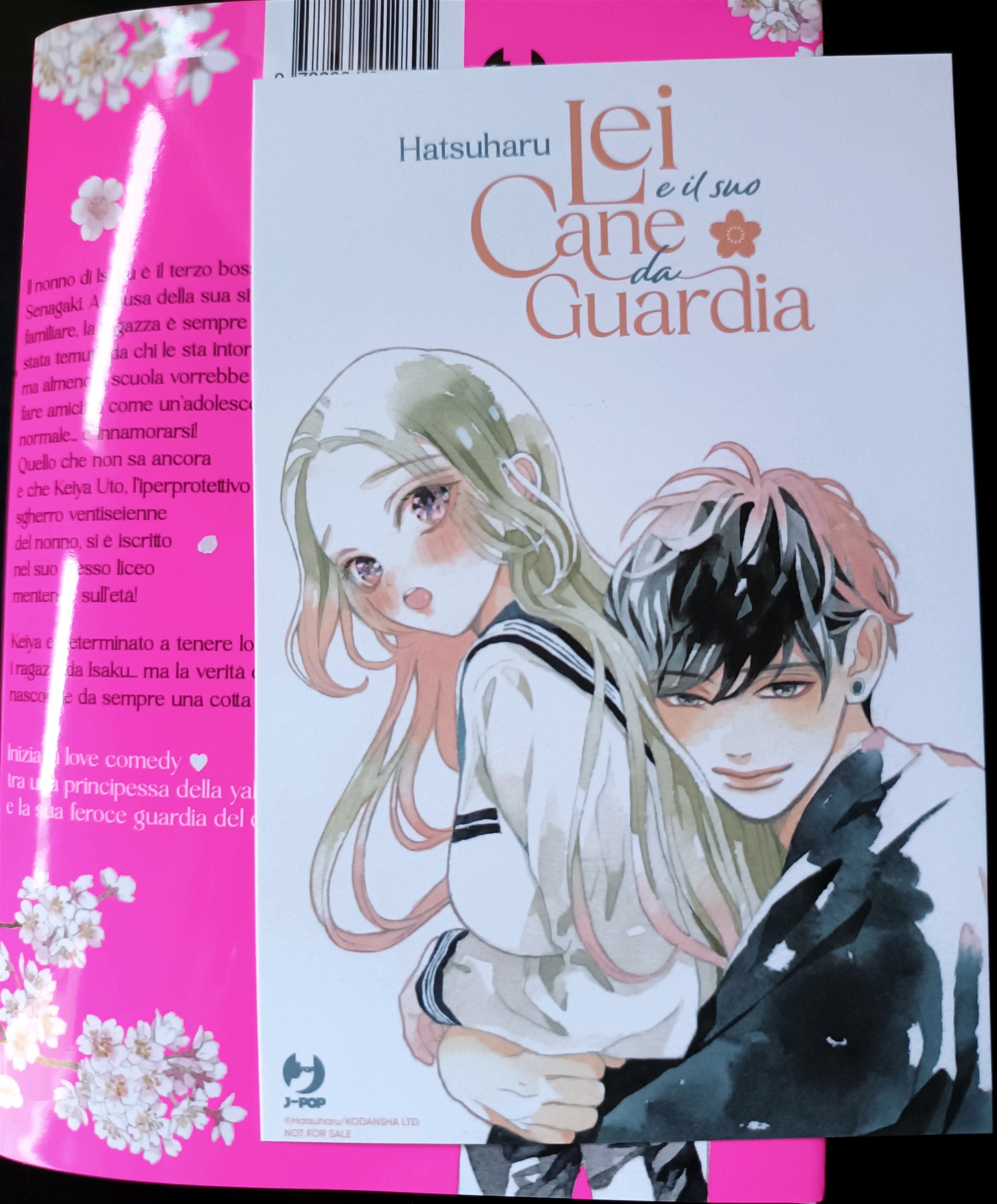 Cani Da Guardia Di Bestiame Che Lavorano Non Disturbare - Foto 4