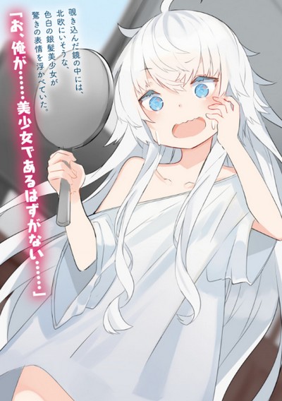 Bishoujo ni Natta kedo, Netoge Haijin Yattemasu. (Novel) | AnimeClick.it