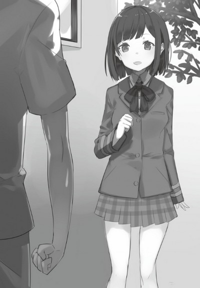 Bishoujo ni Natta kedo, Netoge Haijin Yattemasu. (Novel) | AnimeClick.it
