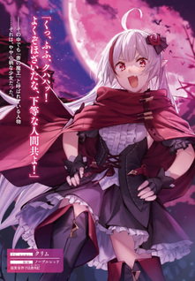 Destiny Unchain Online: Kyūketsuki Shōjo to Natte, Yagate "Aka no Maō" to Yobareru Yō ni Narimashita