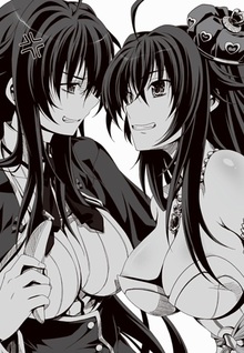 High School DXD DX. (Novel)