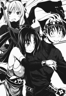 High School DXD DX. (Novel)