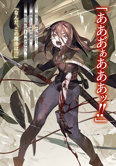 Highserk Nigoru Hitomi de Nani wo Negau: Highserk Senki (Novel) | AnimeClick.it