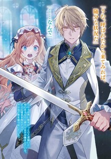 Wizrain Oukoku Monogatari: Shiitagerareta Shoujo wa Zense, Kuni wo Mamotta Ryuu Deshita