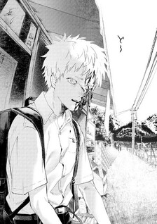 Hikaru ga shinda natsu