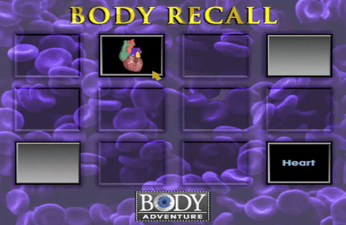 3-D Body Adventure