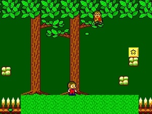 Alex Kidd in Miracle World
