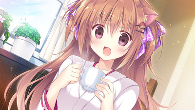Amairo Chocolate