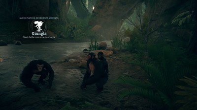 Ancestors: Humankind Odyssey