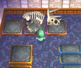 Animal Crossing