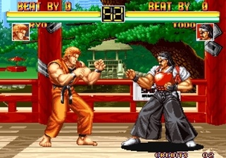 Art of Fighting