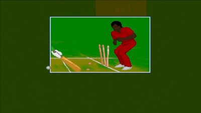 Brian Lara Cricket
