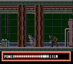 City Hunter