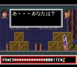 City Hunter