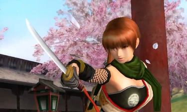 Dead or Alive: Dimensions