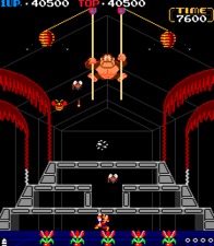 Donkey Kong 3