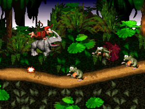 Donkey Kong Country