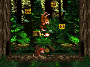 Donkey Kong Country