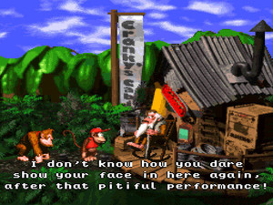 Donkey Kong Country