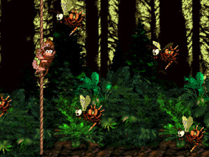 Donkey Kong Country