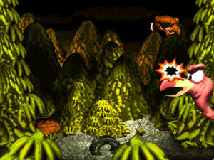 Donkey Kong Country