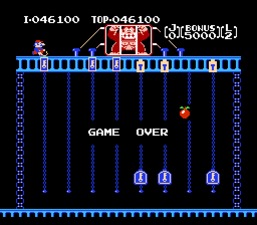 Donkey Kong Jr.