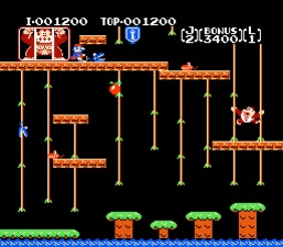 Donkey Kong Jr.
