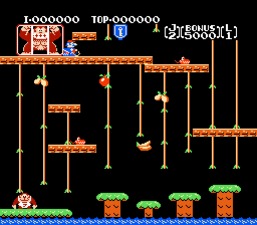 Donkey Kong Jr.