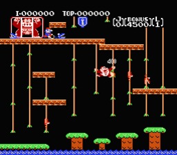 Donkey Kong Jr.