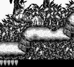Donkey Kong Land