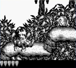 Donkey Kong Land